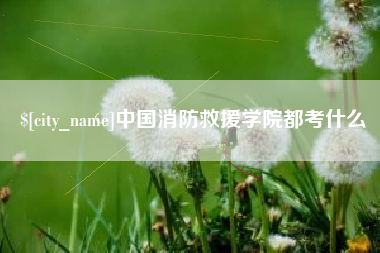 海盐中国消防救援学院都考什么