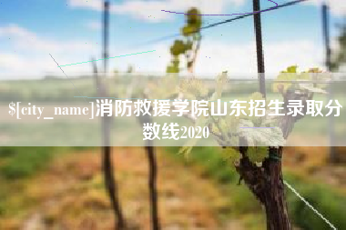 海盐消防救援学院山东招生录取分数线2020