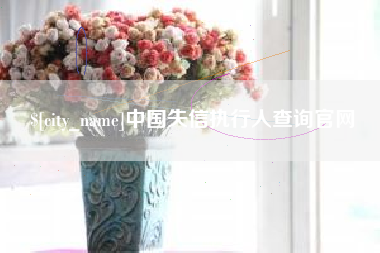 海盐中国失信执行人查询官网