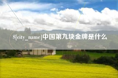 海盐中国第九块金牌是什么