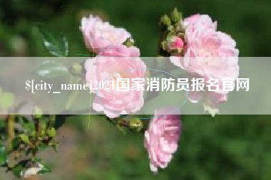 海盐2021国家消防员报名官网
