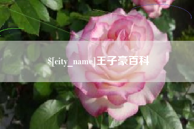 海盐王子豪百科