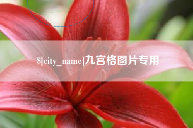 海盐九宫格图片专用