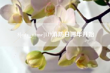 海盐119消防日哪年开始