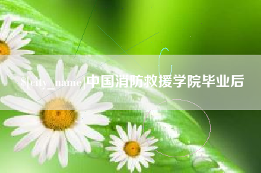 海盐中国消防救援学院毕业后