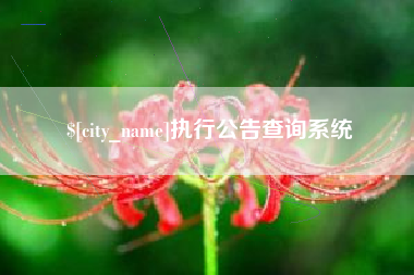 海盐执行公告查询系统