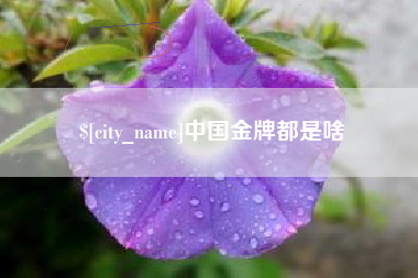 海盐中国金牌都是啥