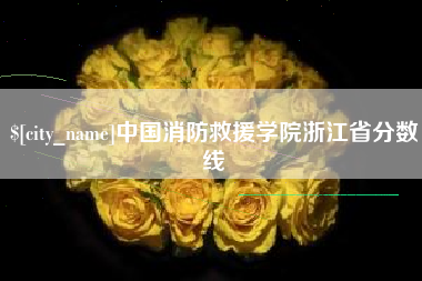 海盐中国消防救援学院浙江省分数线