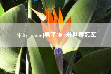 海盐男子5000米世界冠军