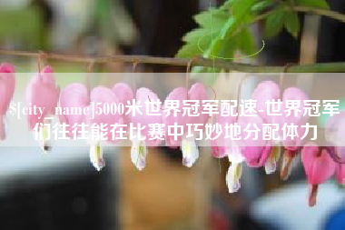 海盐5000米世界冠军配速-世界冠军们往往能在比赛中巧妙地分配体力