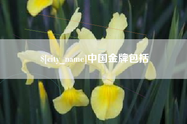 海盐中国金牌包括