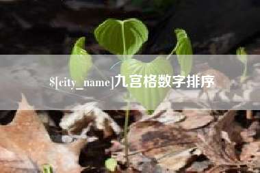 海盐九宫格数字排序