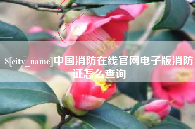 海盐中国消防在线官网电子版消防证怎么查询