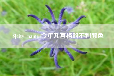 海盐今年九宫格的不利颜色