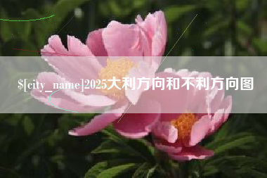 海盐2025大利方向和不利方向图