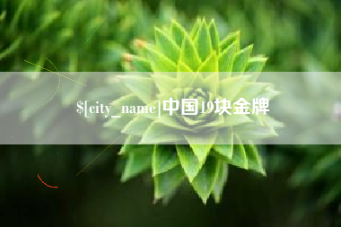 海盐中国19块金牌