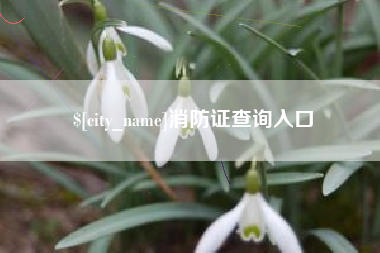 海盐消防证查询入口