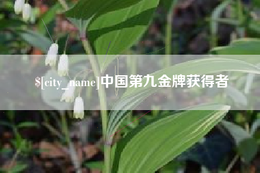 海盐中国第九金牌获得者