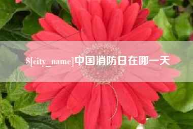 海盐中国消防日在哪一天