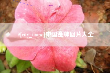 海盐中国金牌图片大全