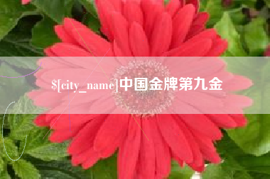 海盐中国金牌第九金