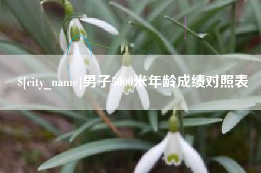 海盐男子5000米年龄成绩对照表