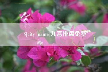 海盐九宫排盘免费