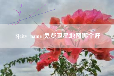 海盐免费卫星地图哪个好