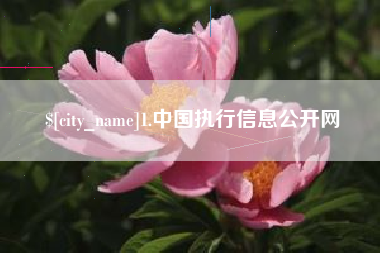 海盐1.中国执行信息公开网