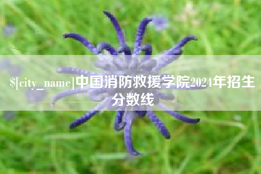 海盐中国消防救援学院2024年招生分数线
