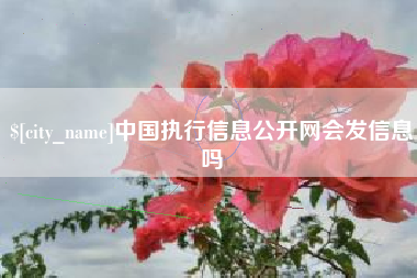 海盐中国执行信息公开网会发信息吗
