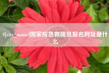 海盐国家应急救援员报名网址是什么