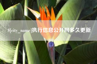海盐执行信息公开网多久更新