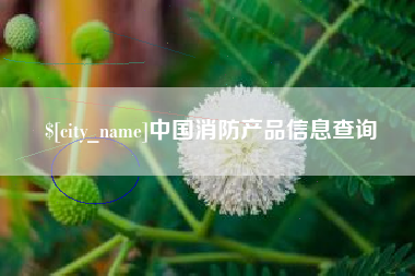 海盐中国消防产品信息查询