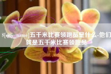 海盐五千米比赛领跑员是什么-他们就是五千米比赛领跑员