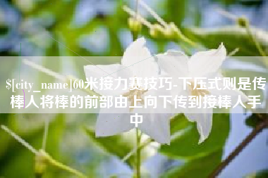 海盐60米接力赛技巧-下压式则是传棒人将棒的前部由上向下传到接棒人手中