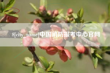 海盐中国消防报考中心官网