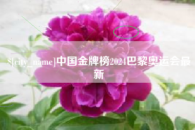 海盐中国金牌榜2024巴黎奥运会最新