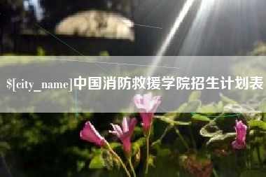 海盐中国消防救援学院招生计划表