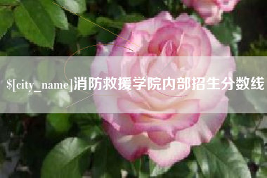 海盐消防救援学院内部招生分数线