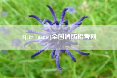 海盐全国消防招考网