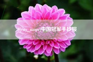 海盐中国冠军手抄报