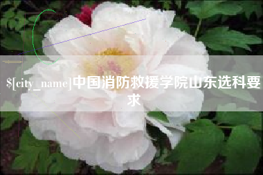 海盐中国消防救援学院山东选科要求