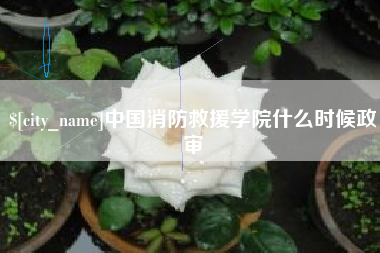 海盐中国消防救援学院什么时候政审