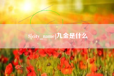 海盐九金是什么