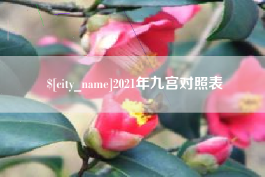 海盐2021年九宫对照表