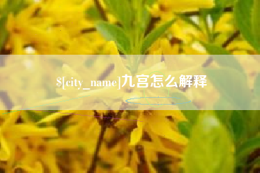 海盐九宫怎么解释