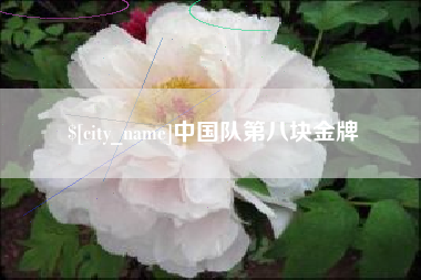 海盐中国队第八块金牌