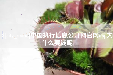 海盐中国执行信息公开网官网app为什么要钱呢