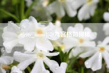 海盐579九宫格如何排
